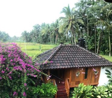 Kecamatan Pringgasela Casa | Provok bungalows