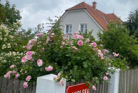 Podivin Apartamento | Prvorepublikový dům se zahradou