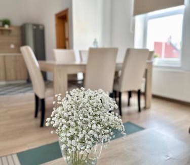Bielawa Apartamento | Przestronny apartament nr 7 z widokiem na góry Sowie