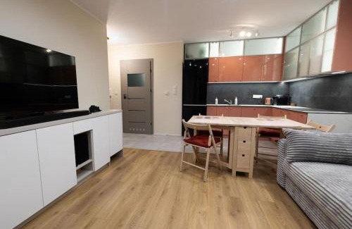 Sosnowiec Apartamento | Przestronny apartament w Sosnowcu, miejsce parkingowe w hali garażowej