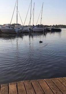Ostroda Apartamento | Przystań parking ogródek blisko jeziora i mariny dla jachtów