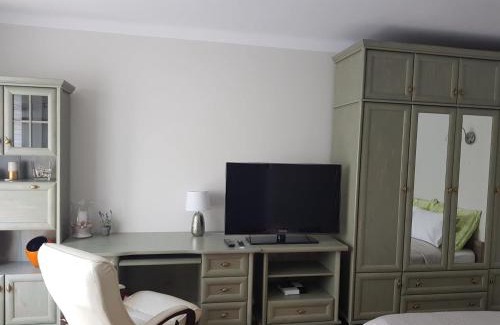 Tarnow Apartamento | Przytulna i przestrzenna garsoniera- Centrum