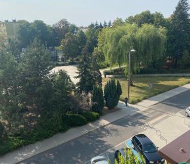 Leszno Apartamento | Przytulne mieszkanie 2 pokojowe