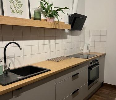 Wielen Apartamento | Przytulny Apartament Mickiewicza 14/2