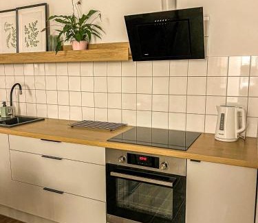 Wielen Apartamento | Przytulny Apartament Mickiewicza 14/2