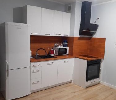Plock Apartamento | Przytulny Apartament na Strzeleckiej