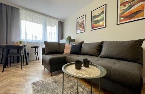 Radom Apartamento | Przytulny Apartament niedaleko Radomskiego Centrum Sportu