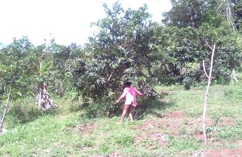 Castle Bruce Otro | PT Jardin Farm Stay