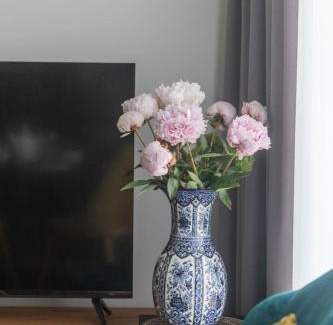 Klaipeda Apartamento | Pušų Terasos -13