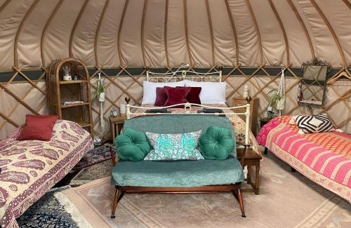 Ventnor Otro | Puckaster Cove Garden Yurt