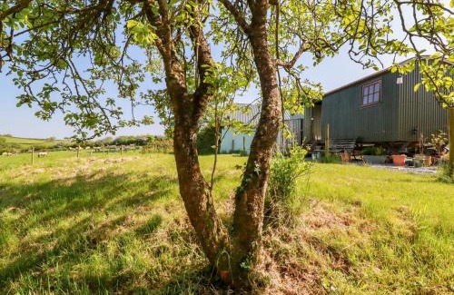 Brazzacott Casa | Puddle Duck Shepherds Hut