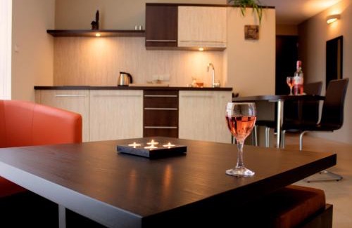 Krynica-Zdroj Apartamento | Puenta Aparthotel