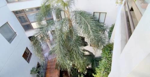 Microcentro Apartamento | Puente de la Mujer