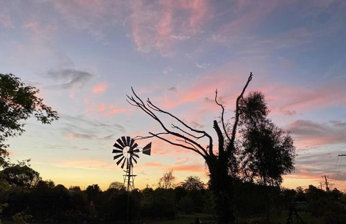 Rutherglen Casa | Pull Up Stumps