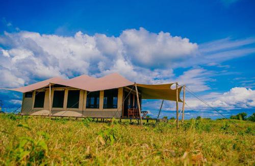 Serengeti National Park Cabina | Pumba Luxury Camp - Serengeti