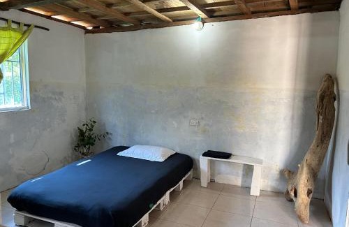Tierra Bomba Island Casa | Punta Arena EcoHostal & EcoFit - Your Eco-Friendly Oasis 01