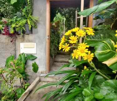 Caculi Casa | Puntinha d'Djô