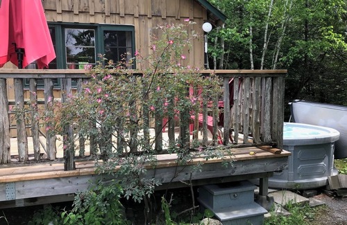 Youngs Point Cabaña | Puppy Love Cottage Retreat at the Lake Edge Cottages!