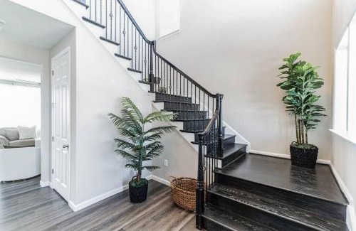 Winchester Casa | Pure Luxury