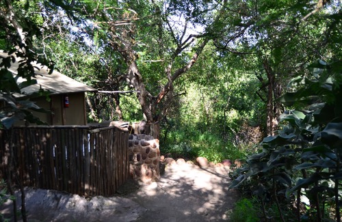 Thorny Bush Game Reserve Casa | Pure Wilderness in Amanzimlotzi Riverside Bush Tent in Limpopo, Kruger Park
