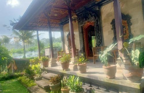 Selat Casa | Puri Agung Inn