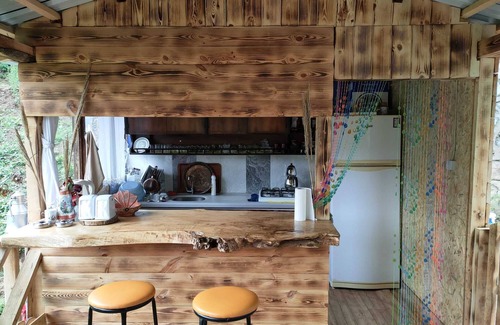 Ayder Cabina | Purkinora Bungalov