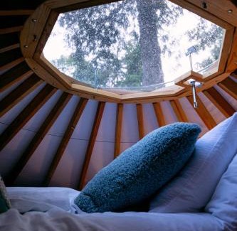 Arnold Creek Apartamento | Purple City Retreats - Luxury Yurt & Spa