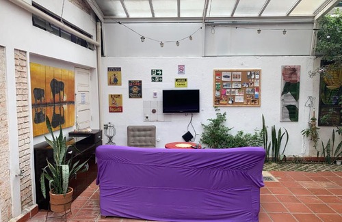 Vila Mariana Hostal | Purple House Hostel