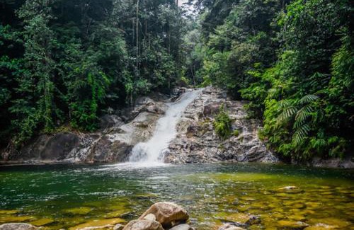 Kampung Jongok Batu Hotel | Qayazi Roomstay