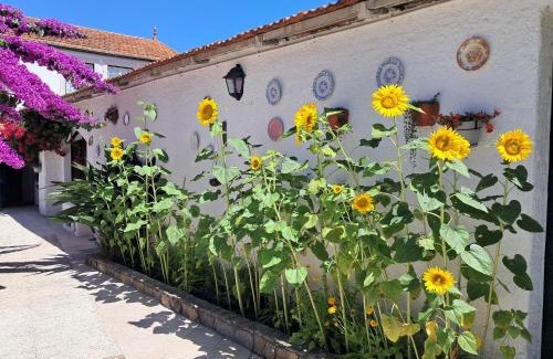 Paco Casa | QM - Quinta da Morgadinha - Casa em Quinta Rural