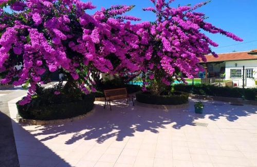Paco Casa | QM - Quinta da Morgadinha - Casa em Quinta Rural