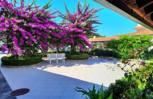 Paco Casa | QM - Quinta da Morgadinha - Casa em Quinta Rural