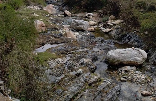 Kaul Cabaña | Quaint exclusive cottage in heart of a lush forest, beside a stream!!