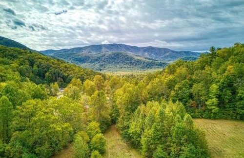 Cosby Casa | Quaint Villa, Pickleball Court, Creek, WIFI, Mountain Views, Starting at 79"