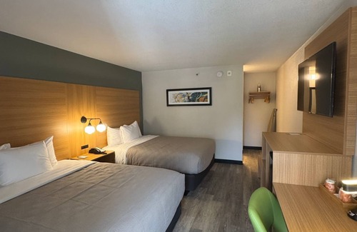 Florida Central Atlantic Coast Hotel | Quality Inn Orlando Near International Drive