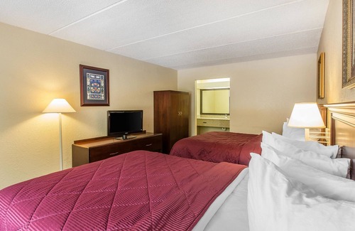 Easley Hotel | Quality Inn & Suites Easley - Greenville