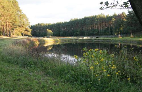 Pobiedziska Casa | Quatro Osrodek Jezdziecki - Gospodarstwo Agroturystyczne