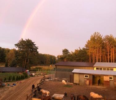 Pobiedziska Casa | Quatro Osrodek Jezdziecki - Gospodarstwo Agroturystyczne
