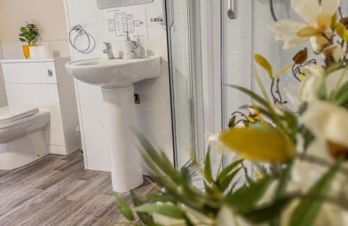 Frampton Hotel | Quayside Hotel & Bar