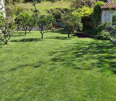 Risan Casa | Queen Teuta - Sea View - Private Parking & Garden - BBQ Grill
