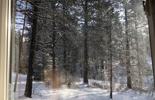 Cle Elum Cabina | Quiet 1 BR + loft cabin great for weekend getaways & stargazing. Pet Friendly!