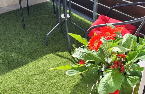 Sztum Apartamento | Quiet and modern apartment whit nice place to eat outside the room at sunrise.