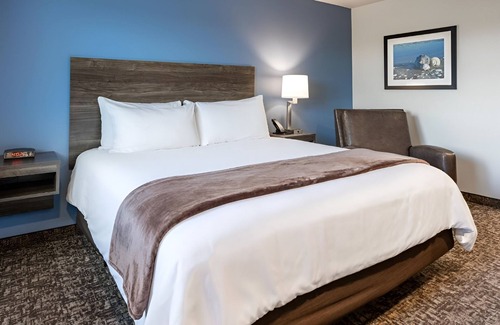 Westgate Hotel | Quiet & Comfortable Room Ideal for Business or Leisure Travelers - Pet-Friendly!