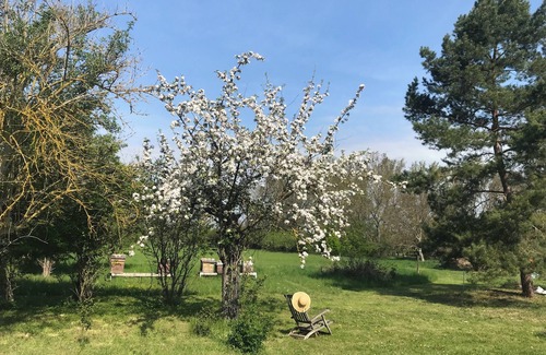 Wedderstedt Apartamento | Quiet country house one-bedroom apartment with 9000 sqm garden