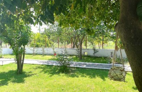 Artemida Casa | Quiet country house #1