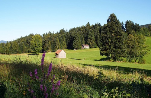 Alberschwende Apartamento | Apartamento tranquilo "Alpenblick-Schneider", balcón, lago de Constanza y Allgäu cerca