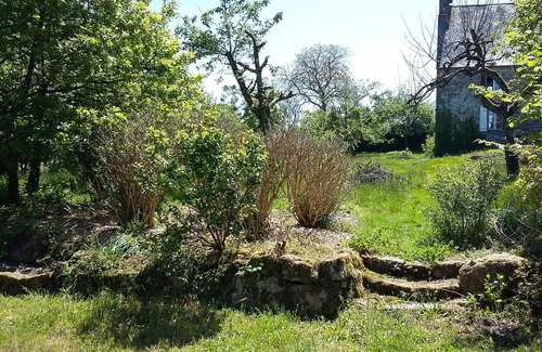 Vire-Normandie Cama Y Desayuno | Quiet in the countryside