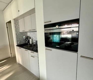 Bissone Apartamento | Quiet Lake Apartment