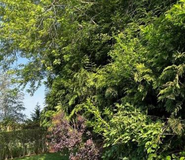 Bridgehampton Casa | Quiet Luxury in the Heart of the Hamptons