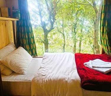 Kaul Complejo | Quiet Place Himalayas